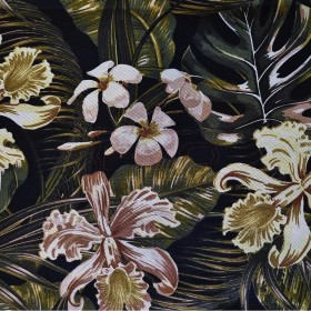 CATTLY  PRETO VERDE CATTLY